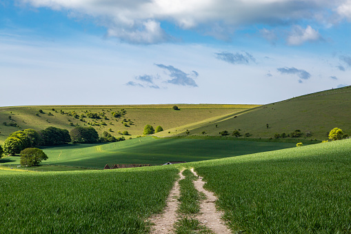 A pathway through farmland in the South Downs, on a sunny spring morning