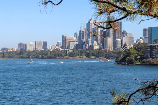 istock City view from Kurraba Point in Sydney 1222569088