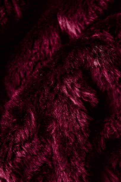 istock Structure of fur background texture red 1222569570