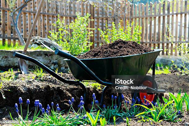 Foto de Jardinagem e mais fotos de stock de Agricultura - Agricultura, Ajardinado, Arbusto