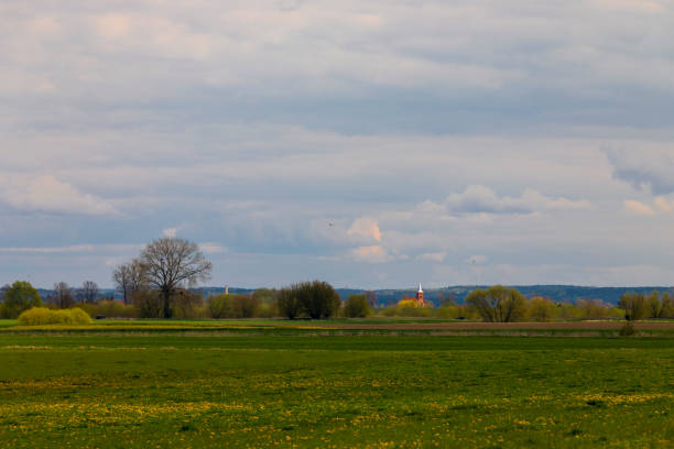 istock Meadows, fields and trees against the backdrop of a cloudy sky 1222571001