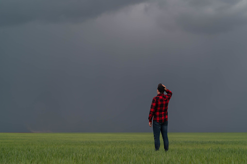 A farmer in a red plaid shirt stands with his back and looks at the field and the approaching thunderstorm.