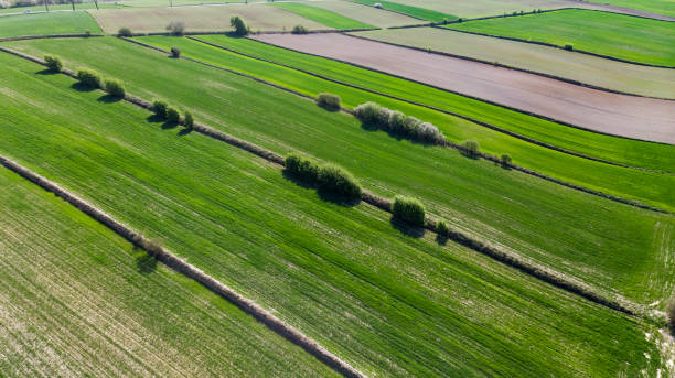 istock Colorful Scenic Farm Fields Patterns in Countryside. Aerial Drone View 1222580172