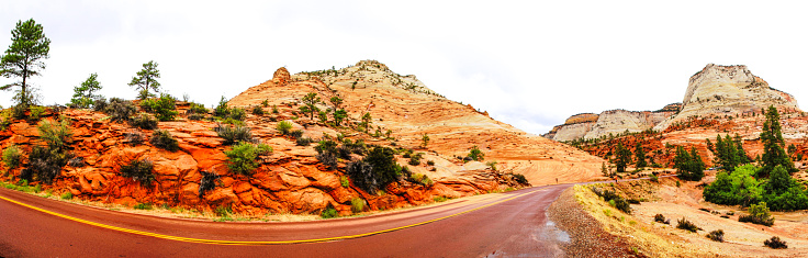 Landscape of Zion National Park, USA, with red rocks and road, Panorama
