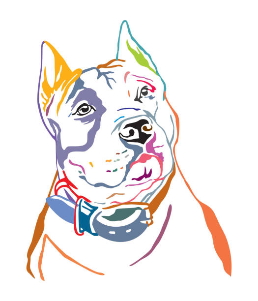 Colorful decorative portrait of American Staffordshire Terrier 3 vector illustration Colorful decorative contour outline portrait of Dog American Staffordshire Terrier, vector illustration in black color isolated on white background. Image for design and tattoo. pitbull graphic stock illustrations