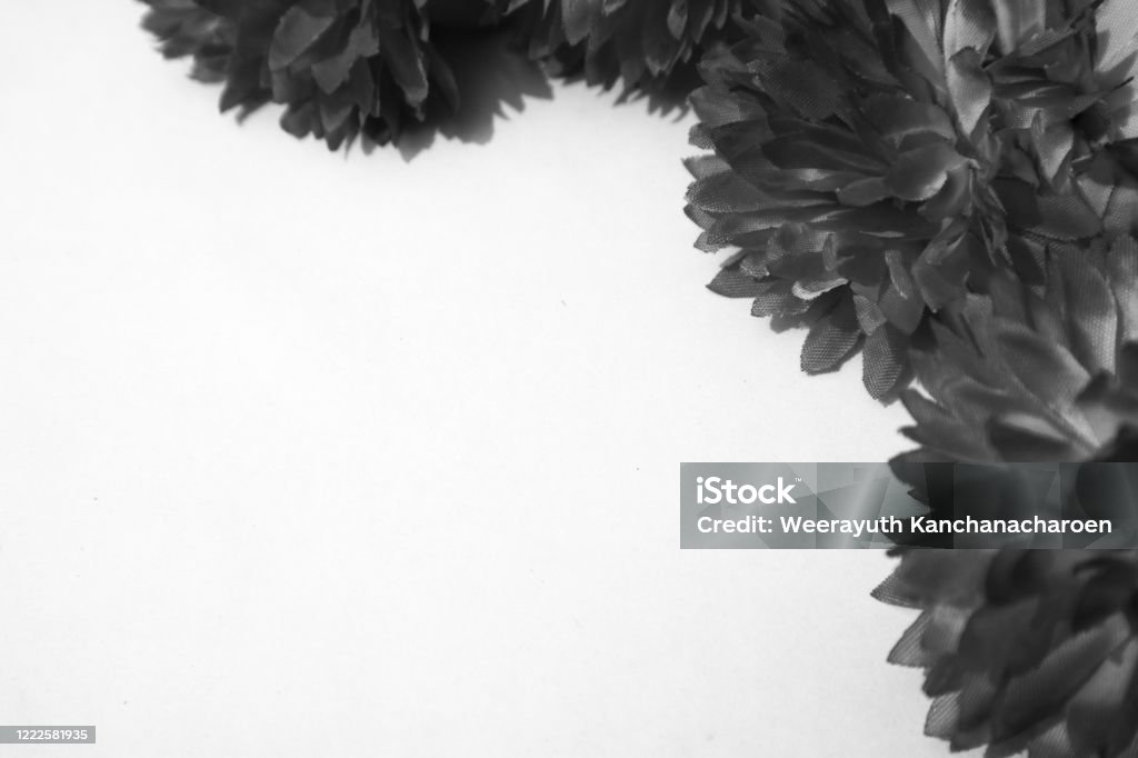 Hermosas Flores Negras De Color Abstracto Sobre Fondo Blanco Y Azul Gráfico  Marco De Flores Blancas Y Textura De Hojas Oscuras Fondo Oscuro Bandera De  Gráficos Coloridos Hojas Blancas Hojas Negras Foto