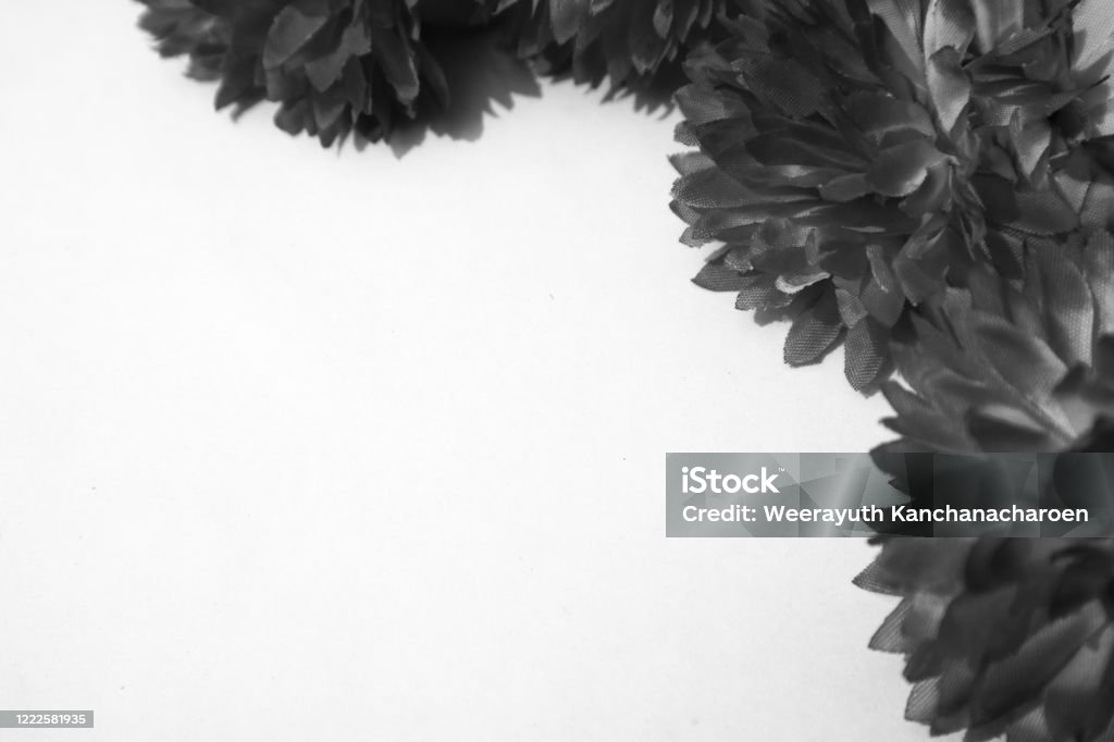 Hermosas Flores Negras De Color Abstracto Sobre Fondo Blanco Y Azul Gráfico Marco De Flores Blancas Y Textura De Hojas Oscuras Fondo Oscuro Bandera De Gráficos Coloridos Hojas Blancas Hojas Negras Foto Hermosas Flores Negras De Color Abstracto Sobre Fondo Blanco Y Azul Gráfico Marco De Flores Blancas Y Textura De Hojas Oscuras Fondo Oscuro Bandera De Gráficos Coloridos Hojas Blancas Hojas Negras Foto
