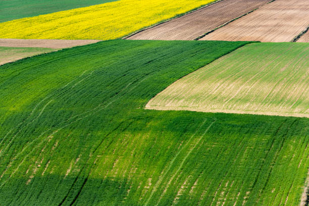 istock Agriculture at Spring. Colorful Patterns of Farmfields 1222583600