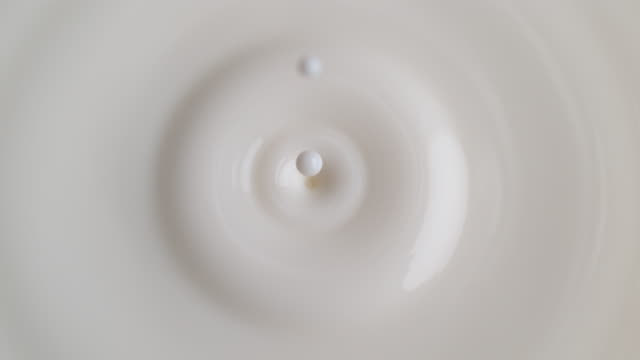 Milk Drop Falling into the White Creamy Liquid
