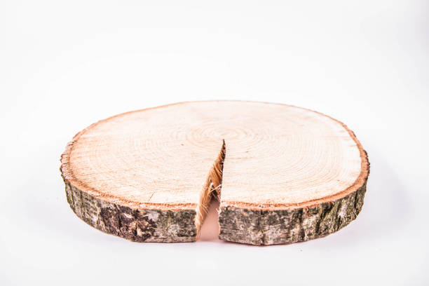istock Slice of wood 1222585706