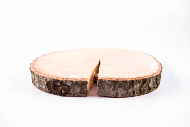 istock Slice of wood 1222585758