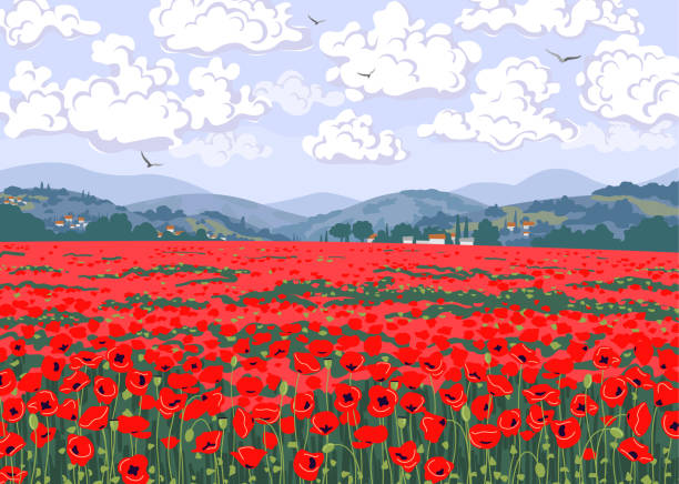Nature Scene with Red Poppy Field, Hills, Clouds in Sky. Simple natural horizontal background with red blooming poppies. Tuscany landscape with poppy field, hills, floating clouds and flying birds in sky. Serenity nature view vector illustration. poppy field stock illustrations