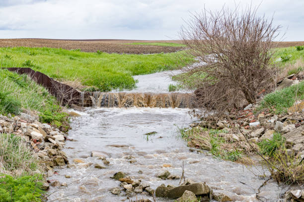 l’eau qui coule dans les cours d’eau des champs agricoles après de fortes pluies et des tempêtes a caus�é des inondations. concept de gestion de l’érosion des sols et de contrôle du ruissellement de l’eau. - heavy plant photos et images de collection