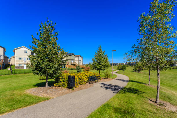 istock Anita Langford Park 1222592755