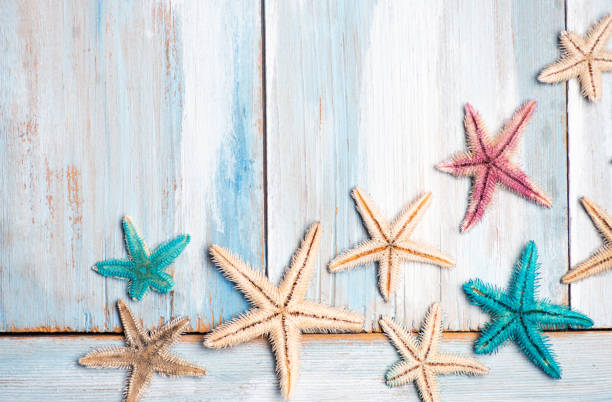 istock Starfish seashells and summer symbols flat lay background 1222596175