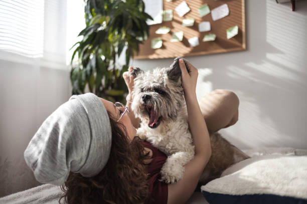 istock Playing with dog at home 1222596338