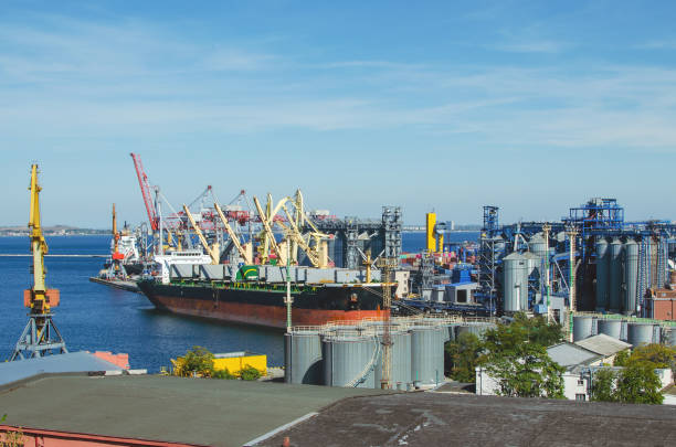 istock Port cargo crane loads a container onto a cargo ship in a seaport 1222600505