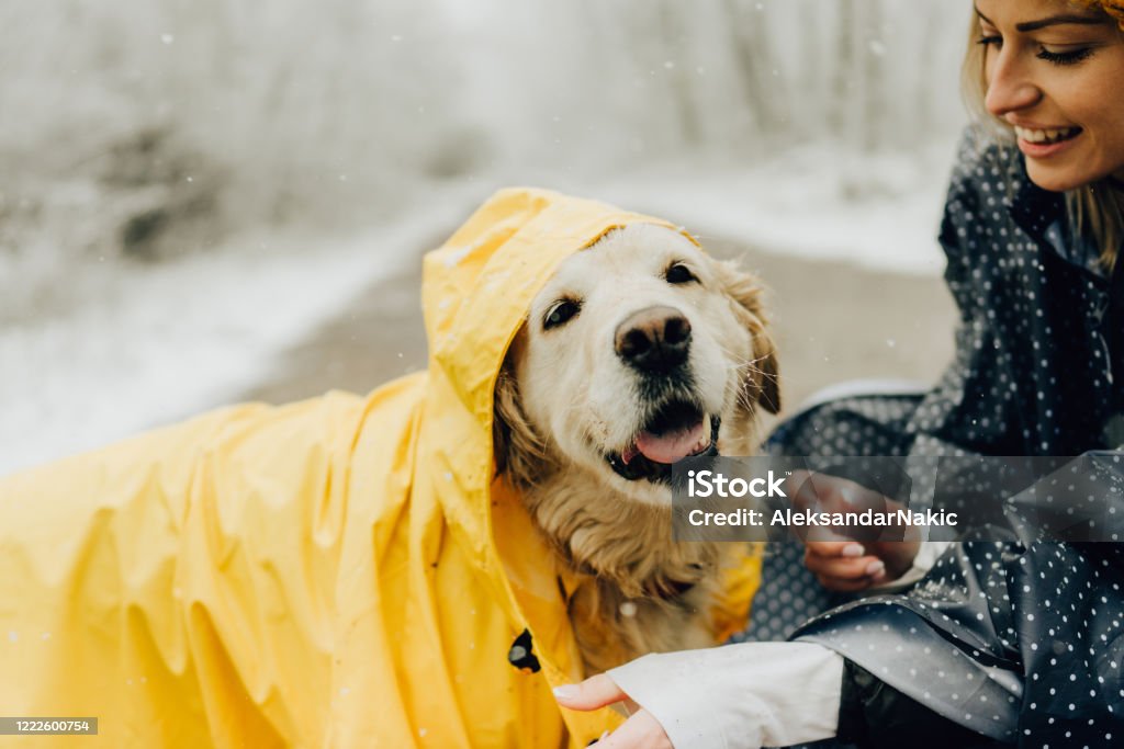 Smiling woman and her dog in a winter walk Photo of smiling woman and her dog in a winter walk Dog Stock Photo