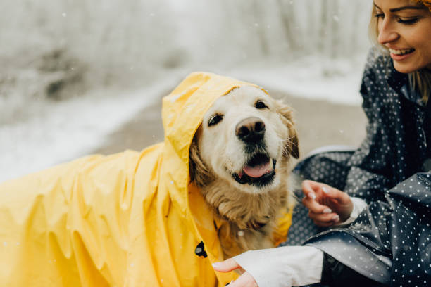 Smiling woman and her dog in a winter walk Photo of smiling woman and her dog in a winter walk raincoat stock pictures, royalty-free photos & images