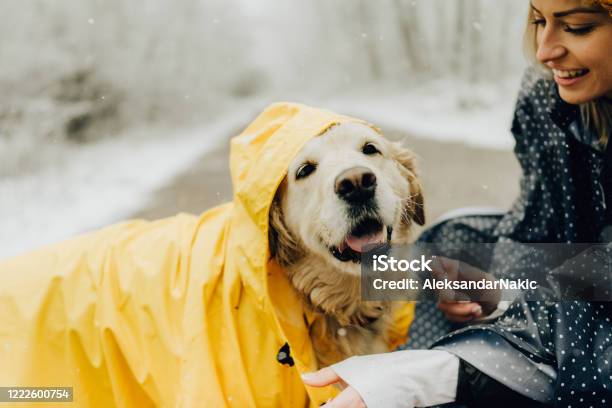 Smiling Woman And Her Dog In A Winter Walk Stock Photo - Download Image Now - Dog, Raincoat, Outdoors
