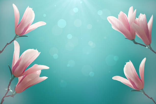 istock Magnolia branches on a blue blurred background with sunlight and bokeh. Spring seasonal background 1222600894