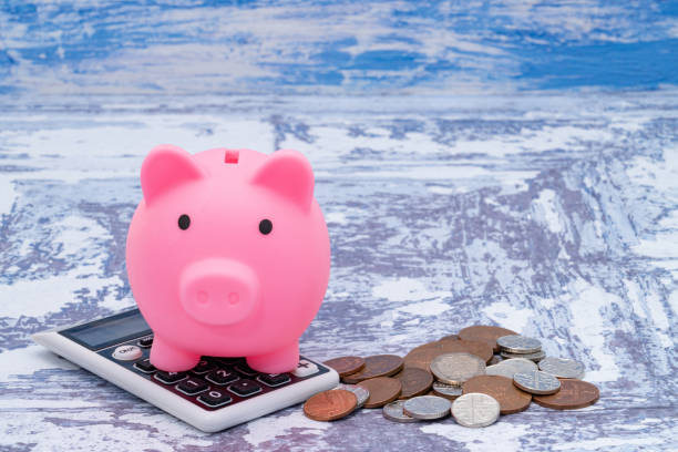 istock Savings piggy bank with a calculator 1222602632