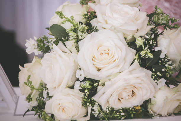 bukiet róż kremowych - bouquet rose wedding flower zdjęcia i obrazy z banku zdjęć