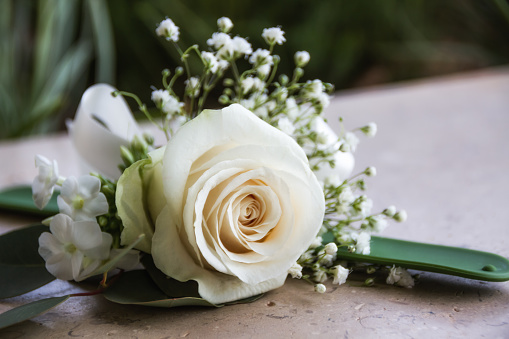 Cream rose buttonhole with