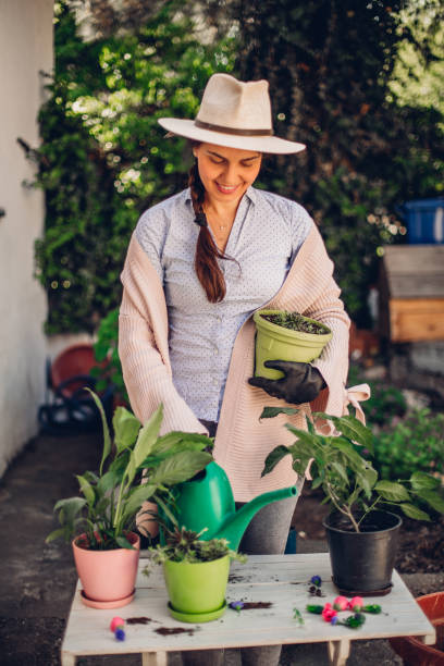 istock Woman watering flowers 1222606390