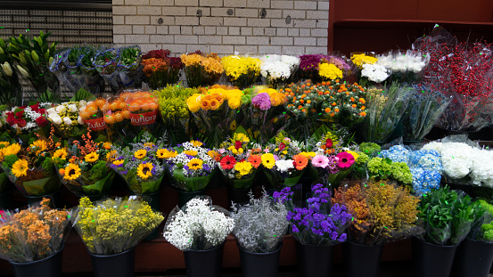 At the flower shop, vibrant blooms beckon as perfect gifts for holidays or romantic dates. Meanwhile, in the bustling street market of the Netherlands, colorful flowers flaunt their beauty, each adorned with price tags, inviting passersby to indulge in their splendor