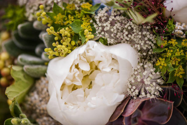 istock wedding bouquet made from green succulent plants 1222613613