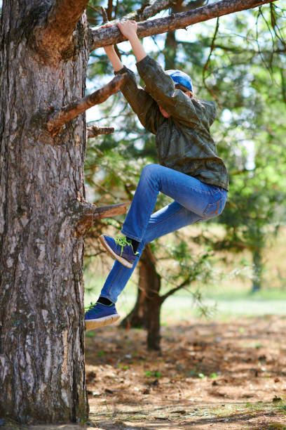 istock Child girl climbing in a tree, bright sunlight, beautiful day 1222614219