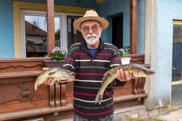 l'uomo anziano tiene in mano il pesce catturato - fish catch of fish catching dead animal foto e immagini stock