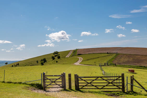 una vista south downs - farm gate foto e immagini stock