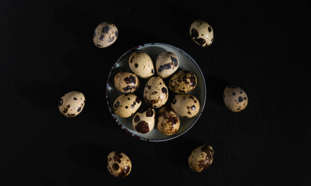 istock still life, quail eggs on a plate on a dark background, top view 1222620627