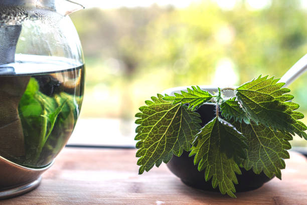 istock Freshly prepared nettle tea on a wooden table. Side view against natural background. 1222627219