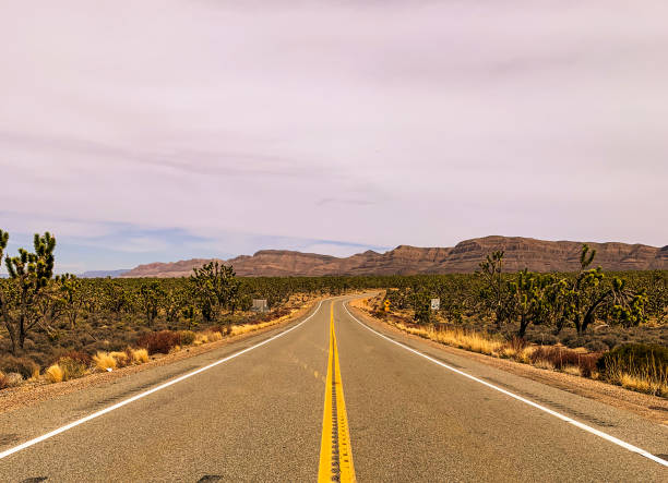 istock Highway in the Arizona desert 1222627492