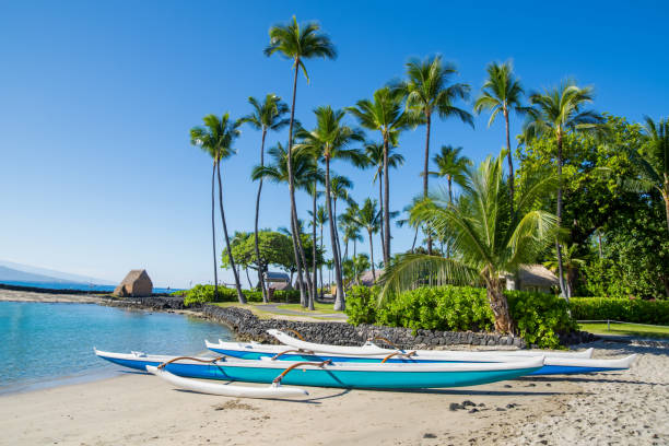 hawaiianischer ausleger kanu am kamakahonu beach kailua-kona, big island, hawaii - hawaii stock-fotos und bilder