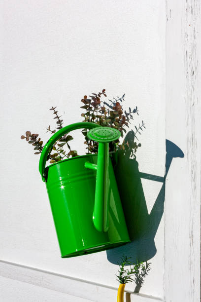 istock Green Water Can on Wall - Garden Art 1222627862