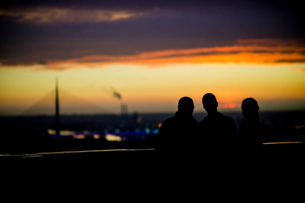 istock Family silhouette 1222627883