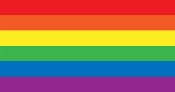 stockillustraties, clipart, cartoons en iconen met vector lgbt regenboog trotsvlag - queer flag