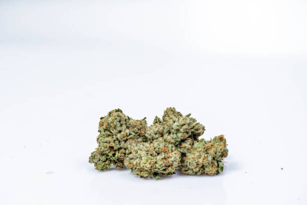 istock Marijuana THC Concentrates Cannabis Oil Extract 1222630444
