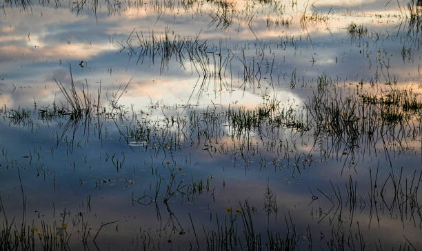 istock Evening clouds reflected in a pool of water 1222631265
