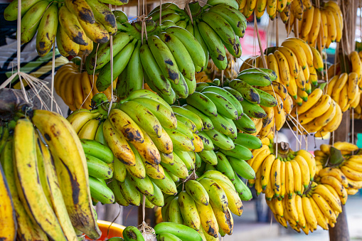Bunches of green and ripe Bananas displayed for sale at a local market, Madagascar, Africa