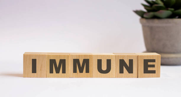 istock IMMUNE - text on wooden cubes on a light background with a flower in a pot 1222632648