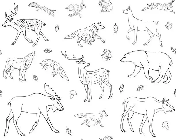 Vector illustration of Vector seamless pattern of hand drawn doodle sketch forest animals