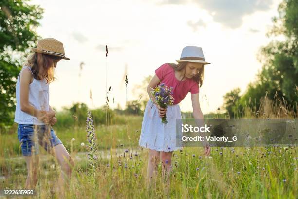 Foto de Duas Lindas Meninas Bonitas Crianças Rasgando Flores Silvestres  Andando Em Prado Ensolarado e mais fotos de stock de Adolescente - iStock