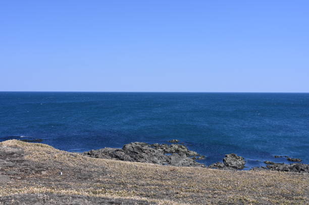 istock coastline norhten japan in spring 1222635989