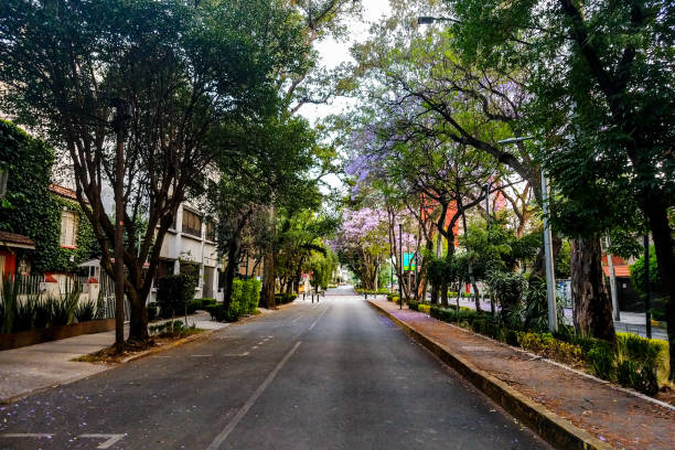 Mexico City landscapes