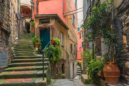 Old italian street in town Vernazza with medieval stairs and pots with green plants with nobody on Cinque Terre coast, Liguria, Italy, Europe